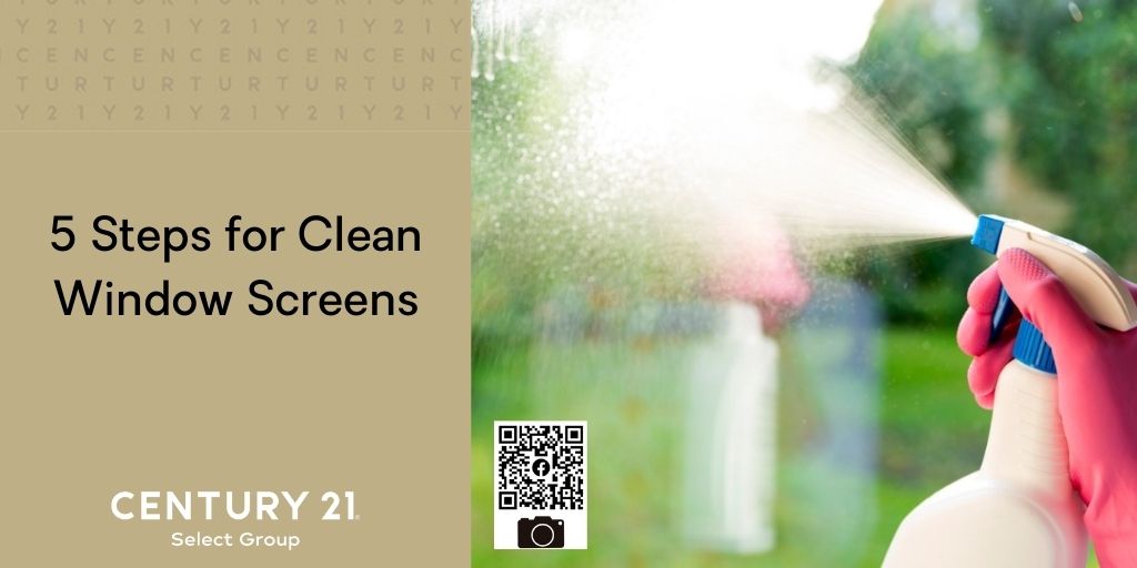 5 Steps for Clean Window Screens